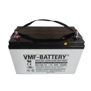 Batteries 125 Ah AGM (Paire)